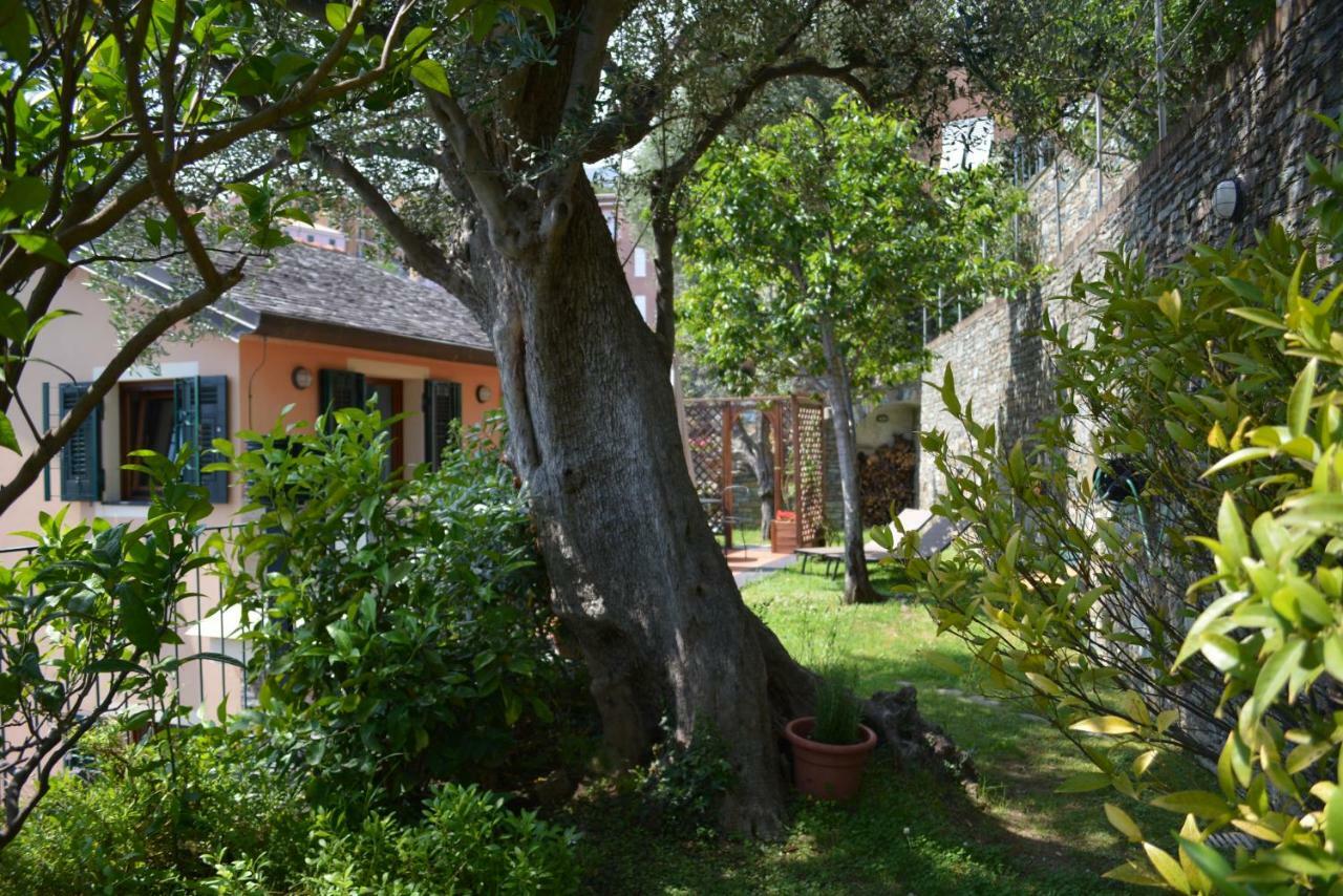 Ca Da Munta Bed And Breakfast Arenzano Eksteriør bilde